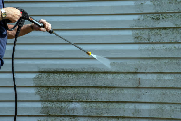 Best Gutter Cleaning  in Howell, MI